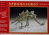 Stegosaurus Skeleton Stegosaurus Skeleton