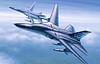 F-11C Pig Australian F-11C Pig Australian