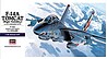 F-14A Tomcat (High Visibility) F-14A Tomcat (High Visibility)
