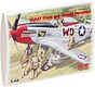 USAAF Pilots and Ground Personel USAAF Pilots and Ground Personel