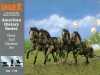 Union Horses and Harness Civil War Set Union Horses and Harness Civil War Set