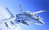 F/A18C/D Wild Weasel Aircraft F/A18C/D Wild Weasel Aircraft