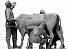 WWII German Infantry Milking a Cow WWII German Infantry Milking a Cow