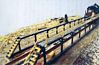 Maint Platform Kt 136' 2/ - HO-Scale (2) Maint Platform Kt 136' 2/ - HO-Scale (2)