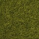 Wild Meadow, Long Fibers Static Grass (50g) Wild Meadow, Long Fibers Static Grass (50g)