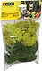 Assorted Green Lichen (Single Pack) Assorted Green Lichen (Single Pack)