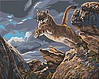 Launched (Cougar)(20''x16'') Launched (Cougar)(20''x16'')