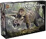 Triceratops Triceratops