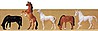 Animals Horses (5) Animals Horses (5)