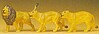 Lions Lions