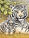 White Tiger Pair (8.75''x11.75'') White Tiger Pair (8.75''x11.75'')