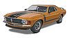1970 Ford Mustang Boss 302 1970 Ford Mustang Boss 302