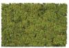 Flock & Turf Shaker Canister Farm Pasture Blend Flock & Turf Shaker Canister Farm Pasture Blend