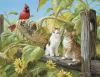 Sunsout Harvest Time 1000+PC