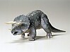 Triceratops Eurycephalus Dinosaur Triceratops Eurycephalus Dinosaur