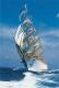 Trefl Puzzles Sailing Ship Dar Modziesy 2000pcs