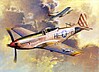 P51D Mustang IV Fighter P51D Mustang IV Fighter