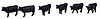 Black Cows (6) Black Cows (6)