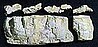 Base Rock Mold Base Rock Mold
