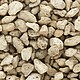 Talus Coarse Buff Talus Coarse Buff