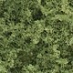 Foliage Foliage
