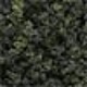 Bushes Clump Foliage Bushes Clump Foliage