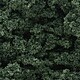 Clump Foliage Clump Foliage