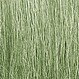 Field Grass Field Grass