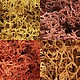 Lichen Autumn Mix (1.5 Quarts) Lichen Autumn Mix (1.5 Quarts)