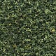Turf Fine Blended Green 32 oz Turf Fine Blended Green 32 oz
