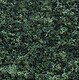 Turf Coarse Dark Green 32 oz Turf Coarse Dark Green 32 oz
