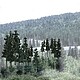 Ready Made Trees Value Pack Ready Made Trees Value Pack
