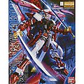 MG Astray Red Frame Revise Snap Together Plastic Model Figure 1/100 Scale #162047