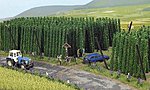 Hops Field HO Scale Model Railroad Grass Earth #1215