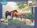Horses by a Stream Paint By Number Kit #91159