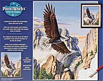 Soaring Eagle Paint By Number Kit #91301