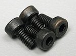 Socket Head Cap Screws,2mm x 4