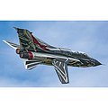 Tornado IDS 60 Anniv. 311 GV RSV Plastic Model Airplane Kit 1/72 Scale #1403s