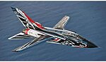 Tornado IDS60 Anniversary 311 GV RSV Special Colors Plastic Model Airplane Kit 1/48 #2766s