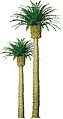Phoenix Palm Trees N Scale Model Railroad Tree #94353