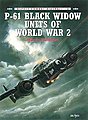 Combat Aircraft - P61 Black Widow Units of WWII Military History Book #ca8