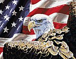 Spirit of Freedom (Eagle & American Flag)(20''x16'') Paint By Number Kit #22043