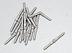 1/2A Hinge Points (15)