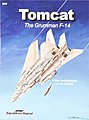 Tomcat Authentic Scale Model Airplane Book #6092
