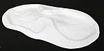 Mushroom Lake Pond Shape
