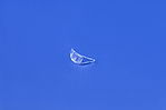User Upload Picture User Upload Picture