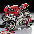 member image