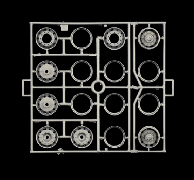 Member Picture