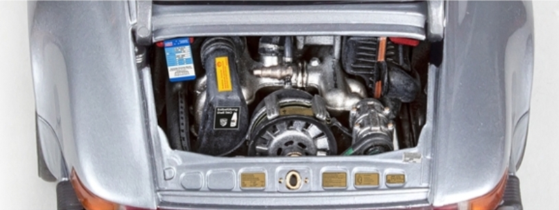 Member Picture