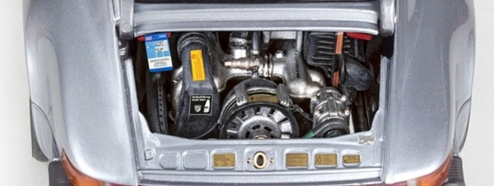 Member Picture